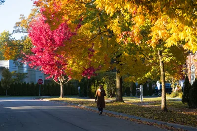 기온 15도~20도 옷차림, 실패 없는 환절기 코디 완전 가이드
