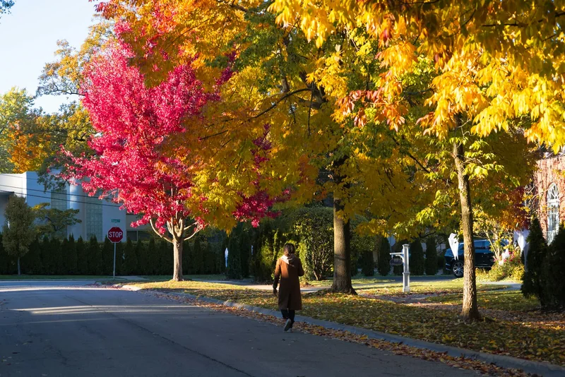 기온 15도~20도 옷차림, 실패 없는 환절기 코디 완전 가이드